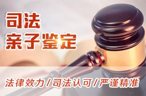 宜宾专业司法亲子鉴定中心在哪里有,宜宾司法DNA鉴定的费用是多少